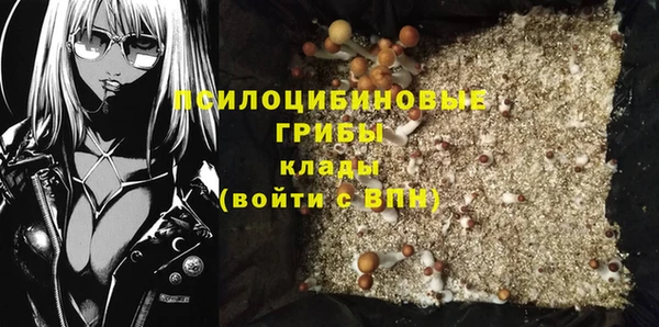 MDMA Бородино