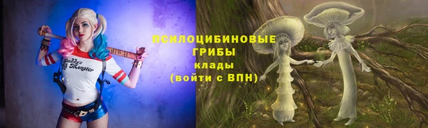 mdpv Бронницы