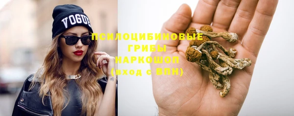 mdpv Бронницы