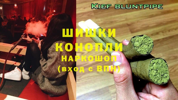прущие грибы Бугульма