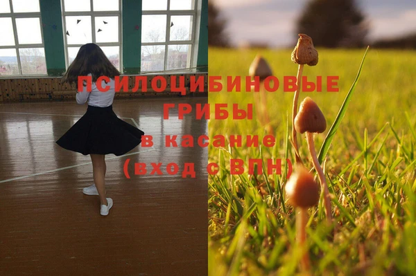 MDMA Бородино