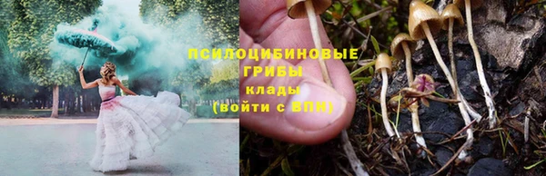 MDMA Бородино