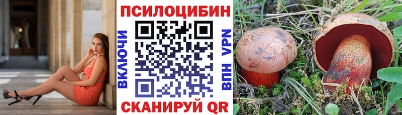 Псилоцибиновые грибы Magic Shrooms  Далматово 